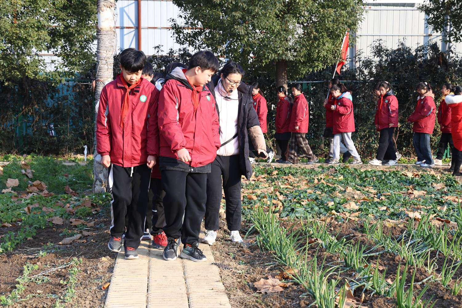 黄淮学院附属中学图片