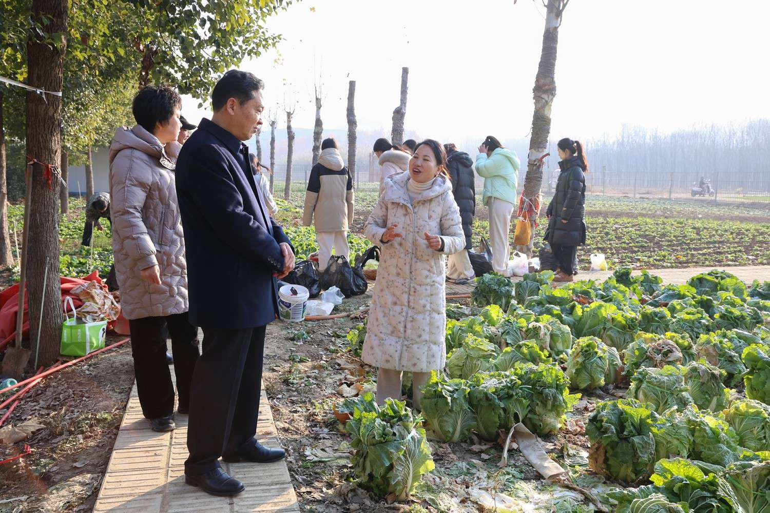 黄淮学院附属中学图片