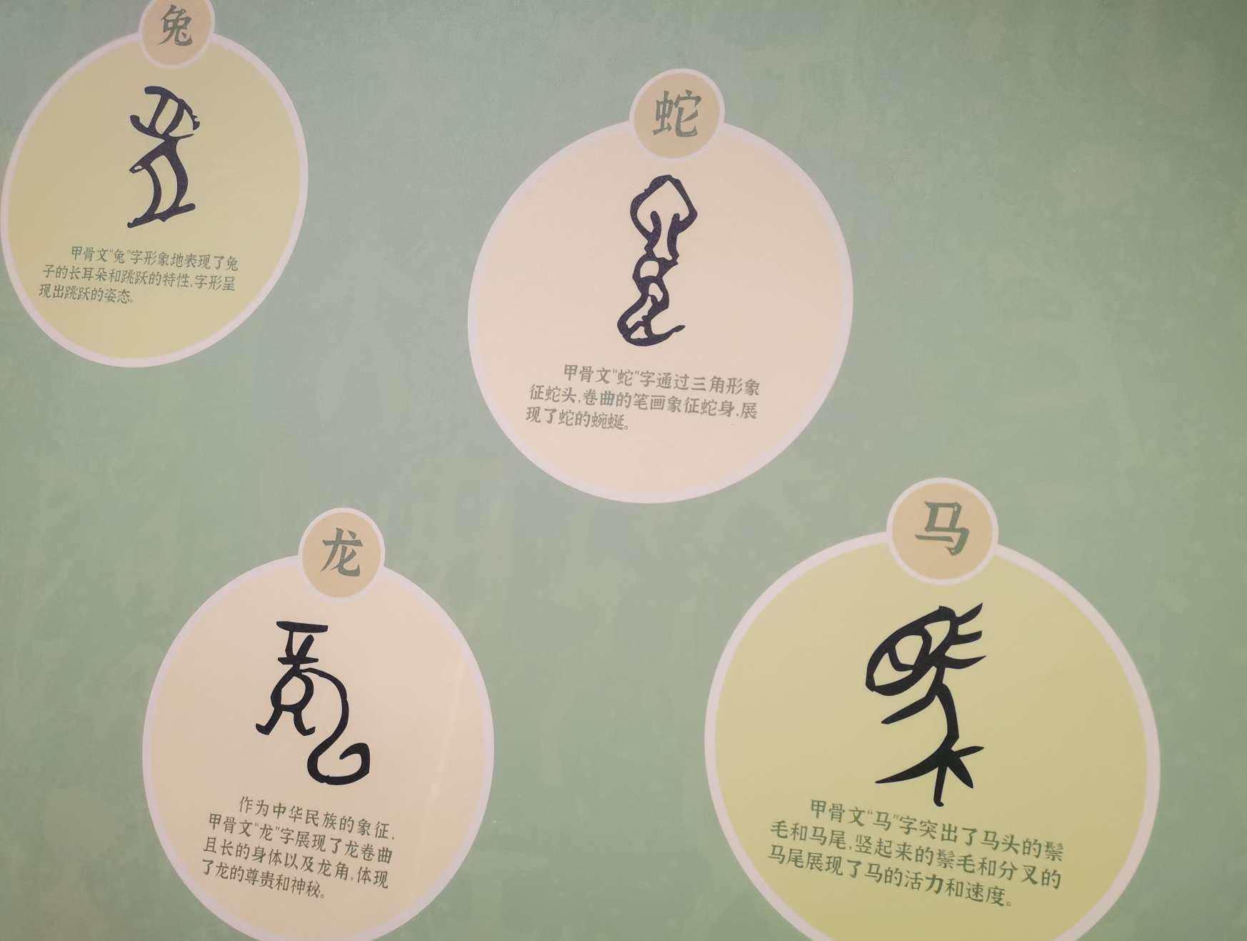 甲骨文里的方位和生肖,竟如此有趣!