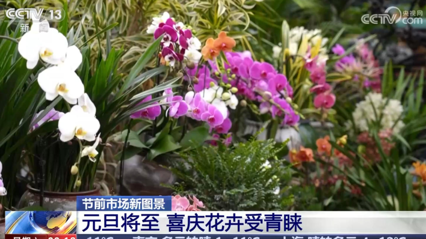 央媒看河南|關(guān)注節(jié)前消費等內(nèi)容