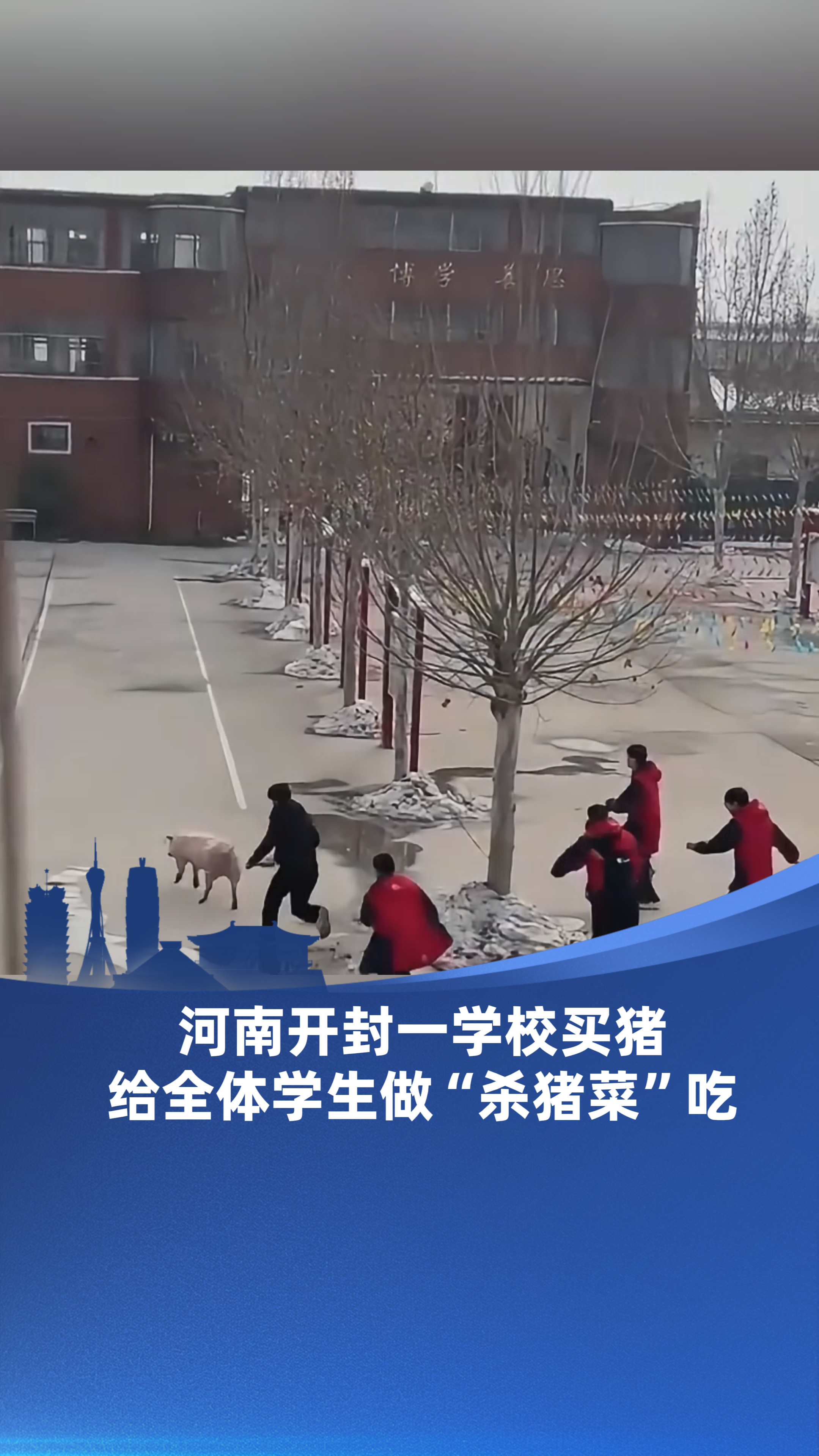 河南开封一学校买猪 给全体学生做