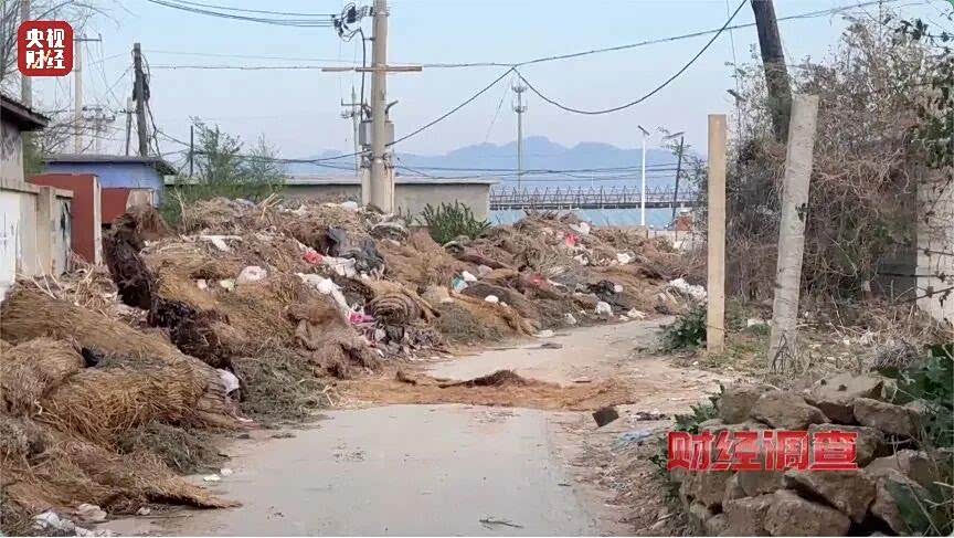 辽蒙甘“垃圾围村”被央视点名，基层治理不能靠“聚光灯”照亮死角