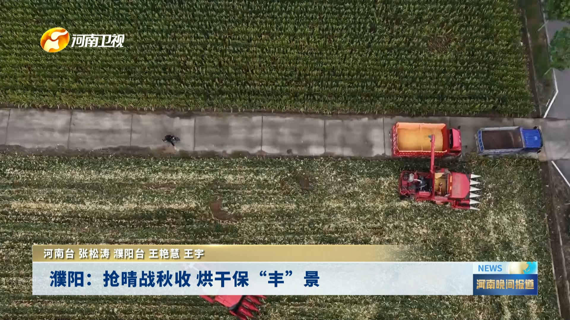 濮阳：抢晴战秋收 烘干保“丰”景