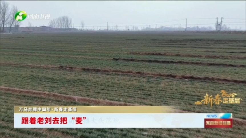 跟着老刘去把“麦”丨万马奔腾中国年·新春走基层