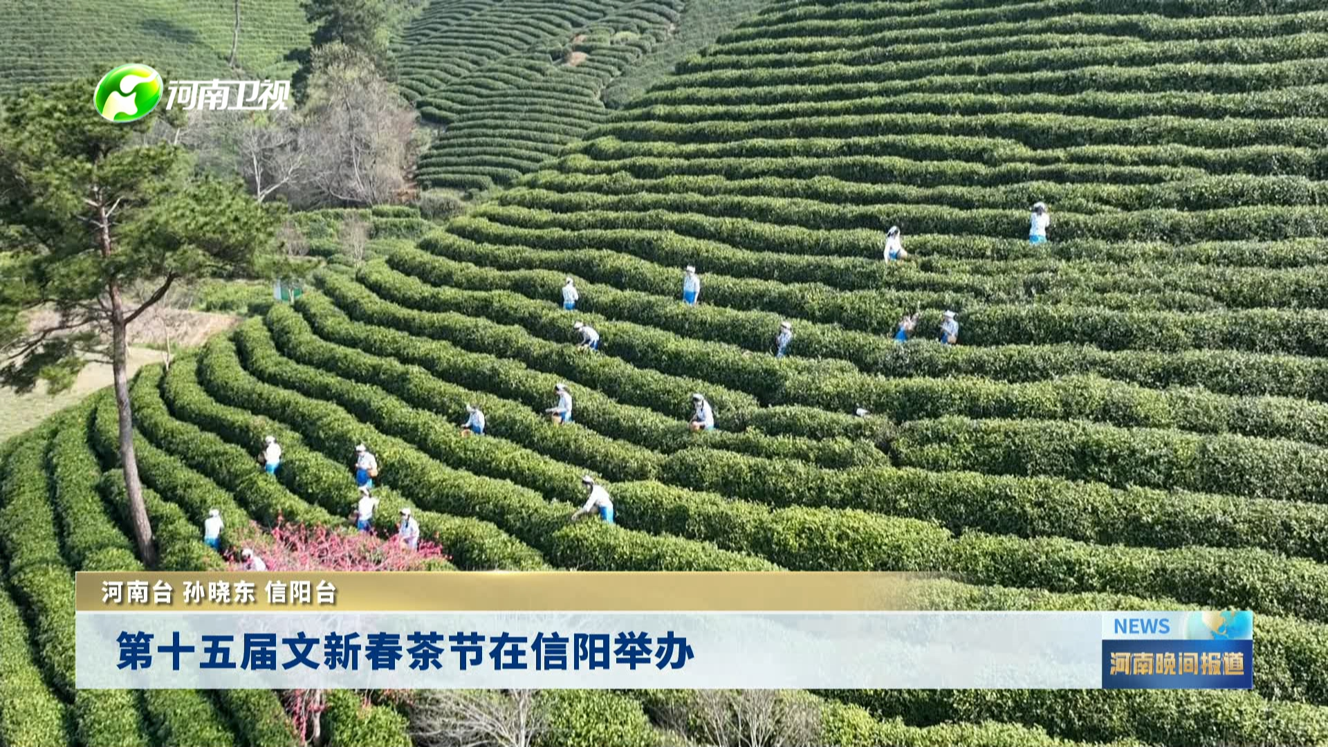 第十五届文新春茶节在信阳举办