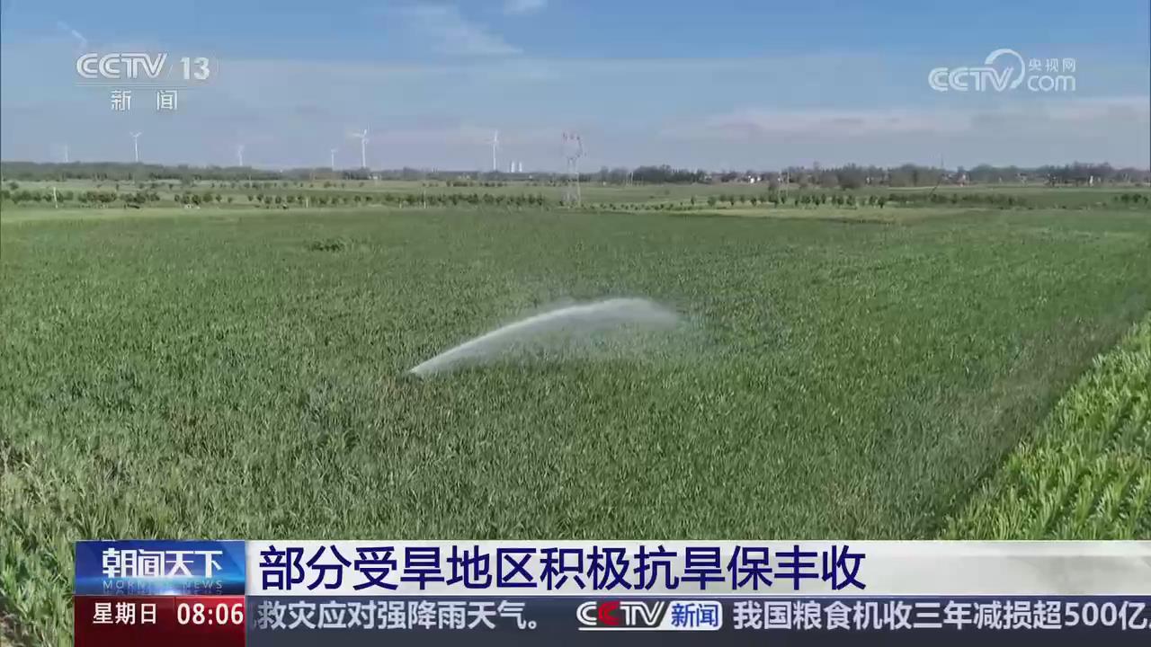 【央視關(guān)注河南周口】科學(xué)精準(zhǔn)灌溉 積極抗旱保豐收