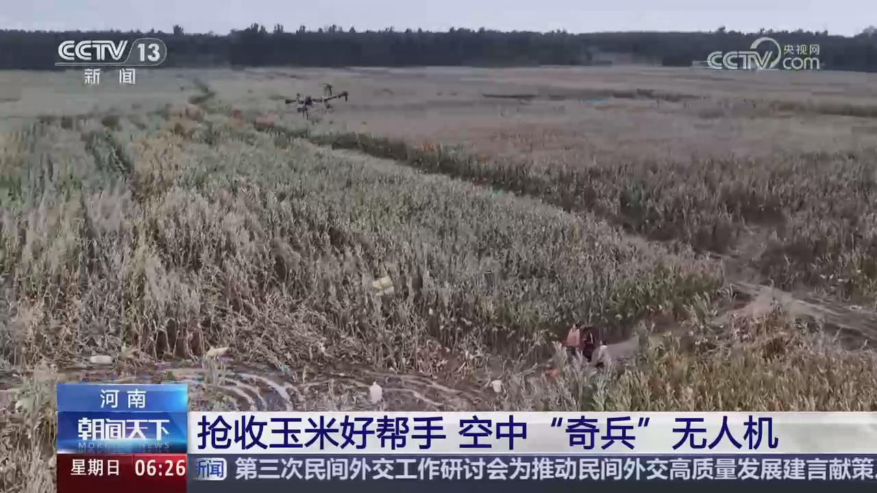 【央視關(guān)注河南原陽(yáng)】搶收玉米好幫手 空中“奇兵”無(wú)人機(jī)