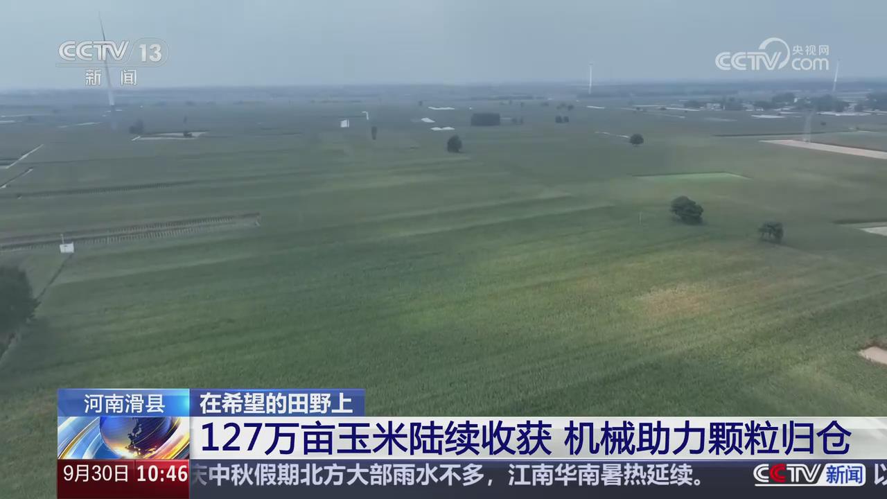 【央視關(guān)注河南滑縣】127萬畝玉米陸續(xù)收獲 機械助力顆粒歸倉