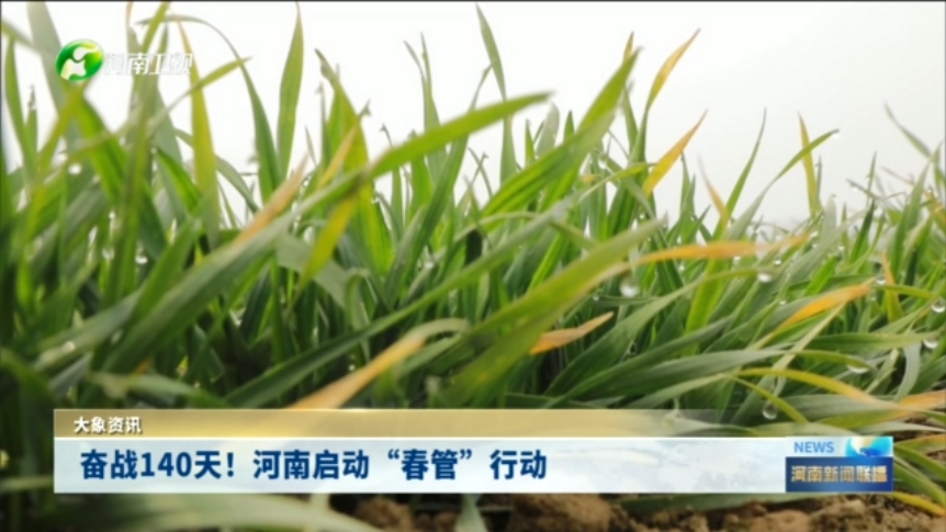 奋战140天！河南启动“春管”行动