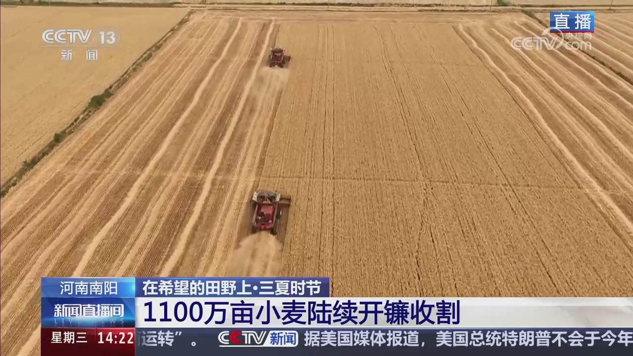 【央視關(guān)注河南南陽(yáng)】1100萬畝小麥陸續(xù)開鐮收割