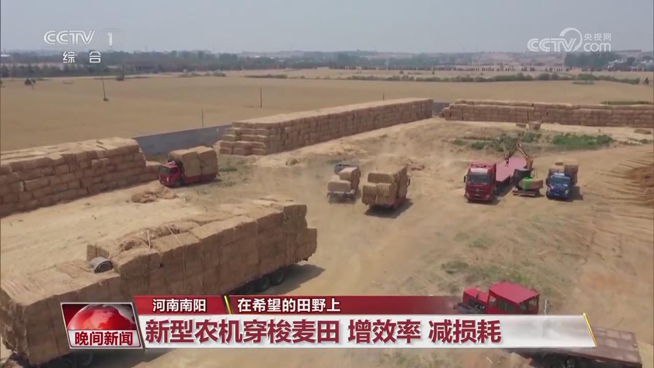 【央視關(guān)注河南南陽】新型農(nóng)機(jī)穿梭麥田 增效率 減損耗