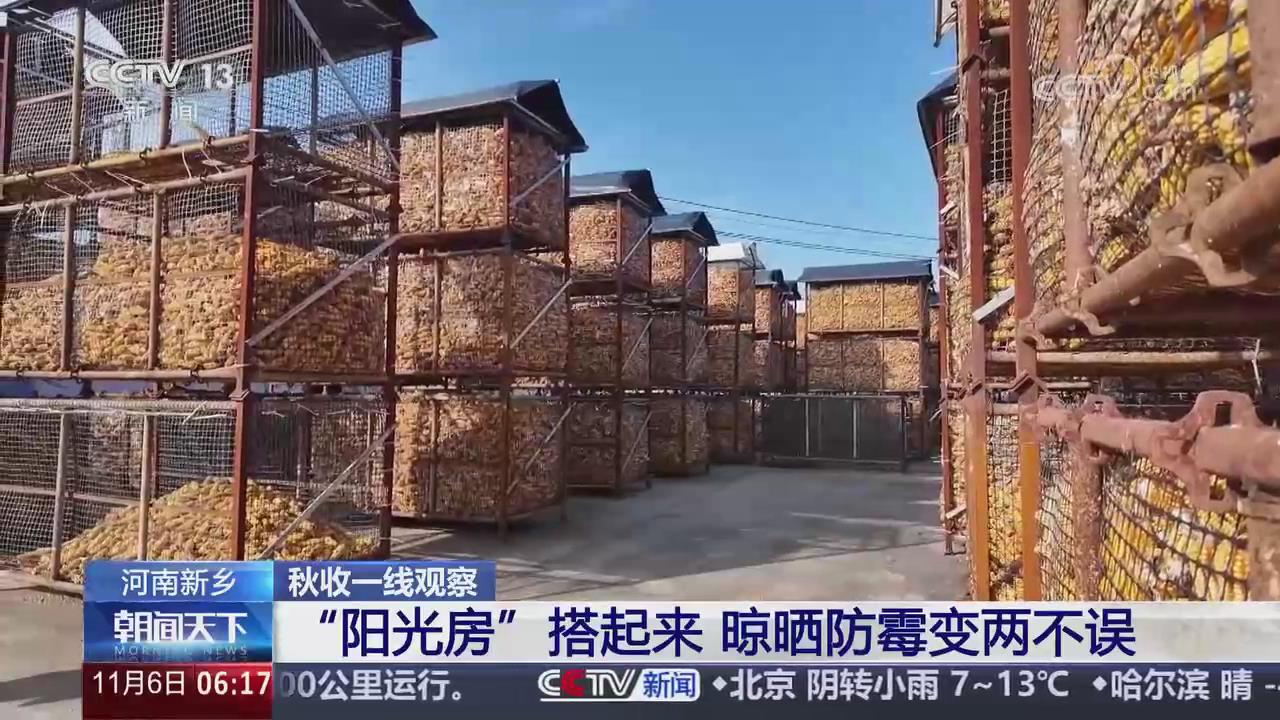 【央視關(guān)注河南新鄉(xiāng)】“陽光房”搭起來 晾曬防霉變兩不誤