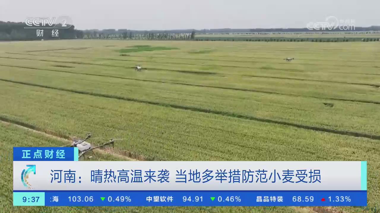【央視關(guān)注河南】晴熱高溫來襲 當(dāng)?shù)囟嗯e措防范小麥?zhǔn)軗p