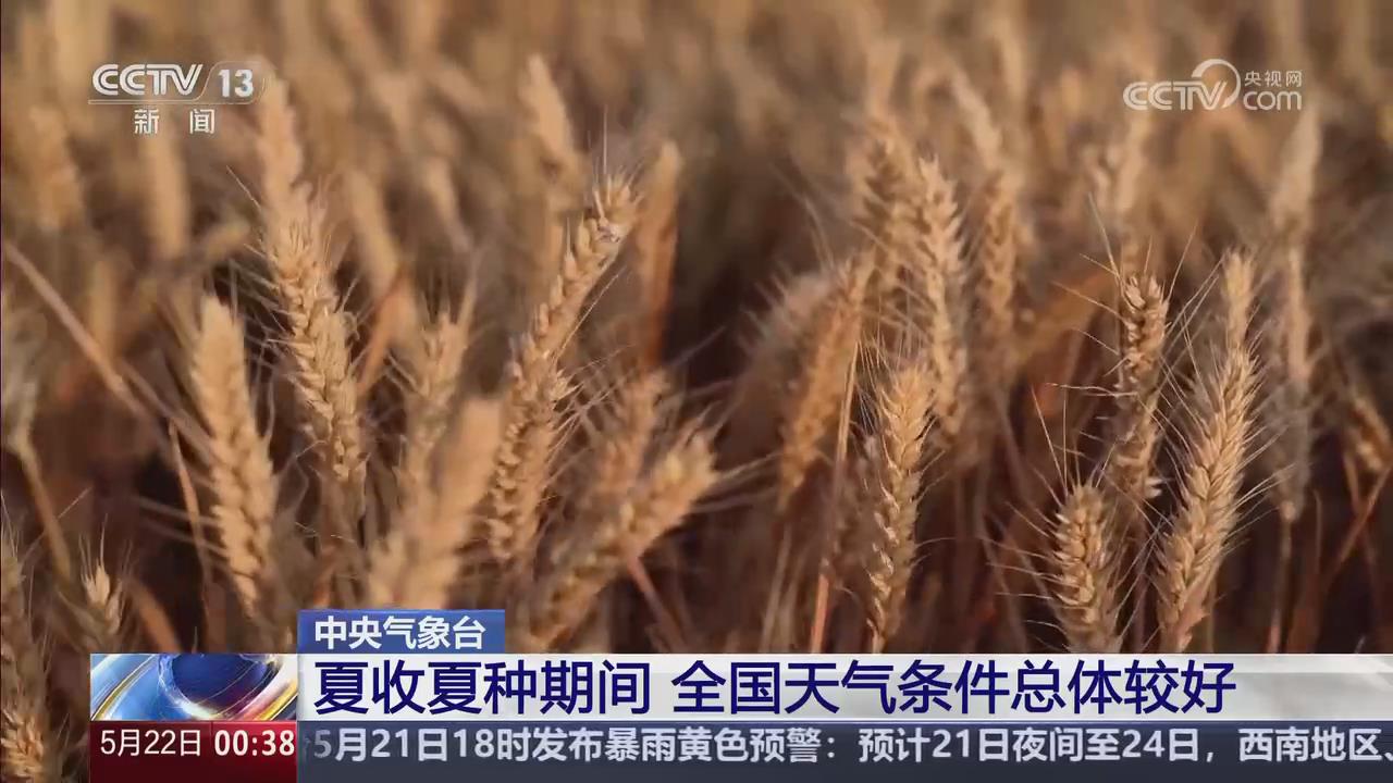 【央視關(guān)注河南】夏收夏種期間 天氣條件總體較好