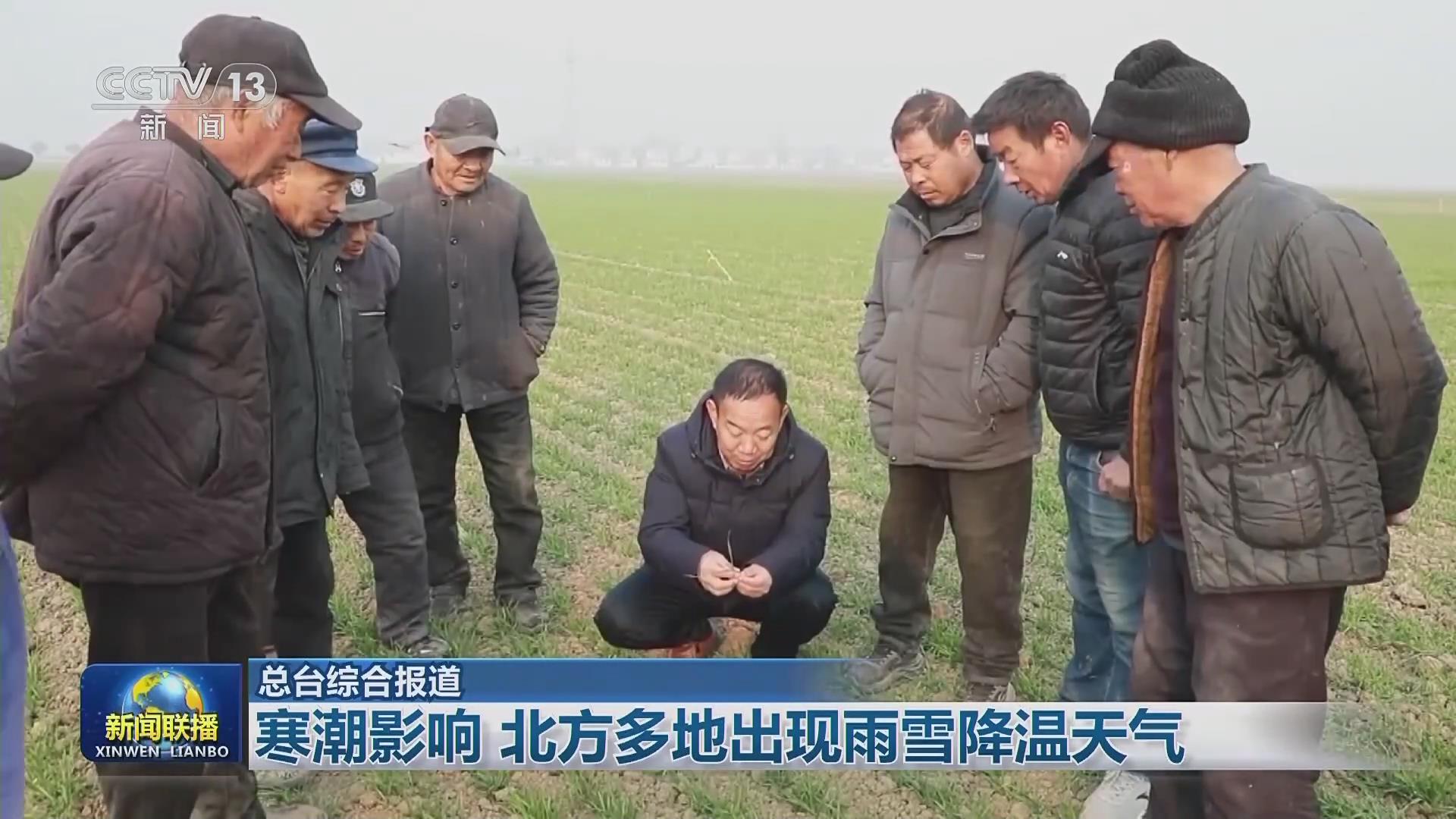 【央視聯(lián)播關(guān)注河南周口】積極應(yīng)對寒潮 保障小麥生產(chǎn)安全