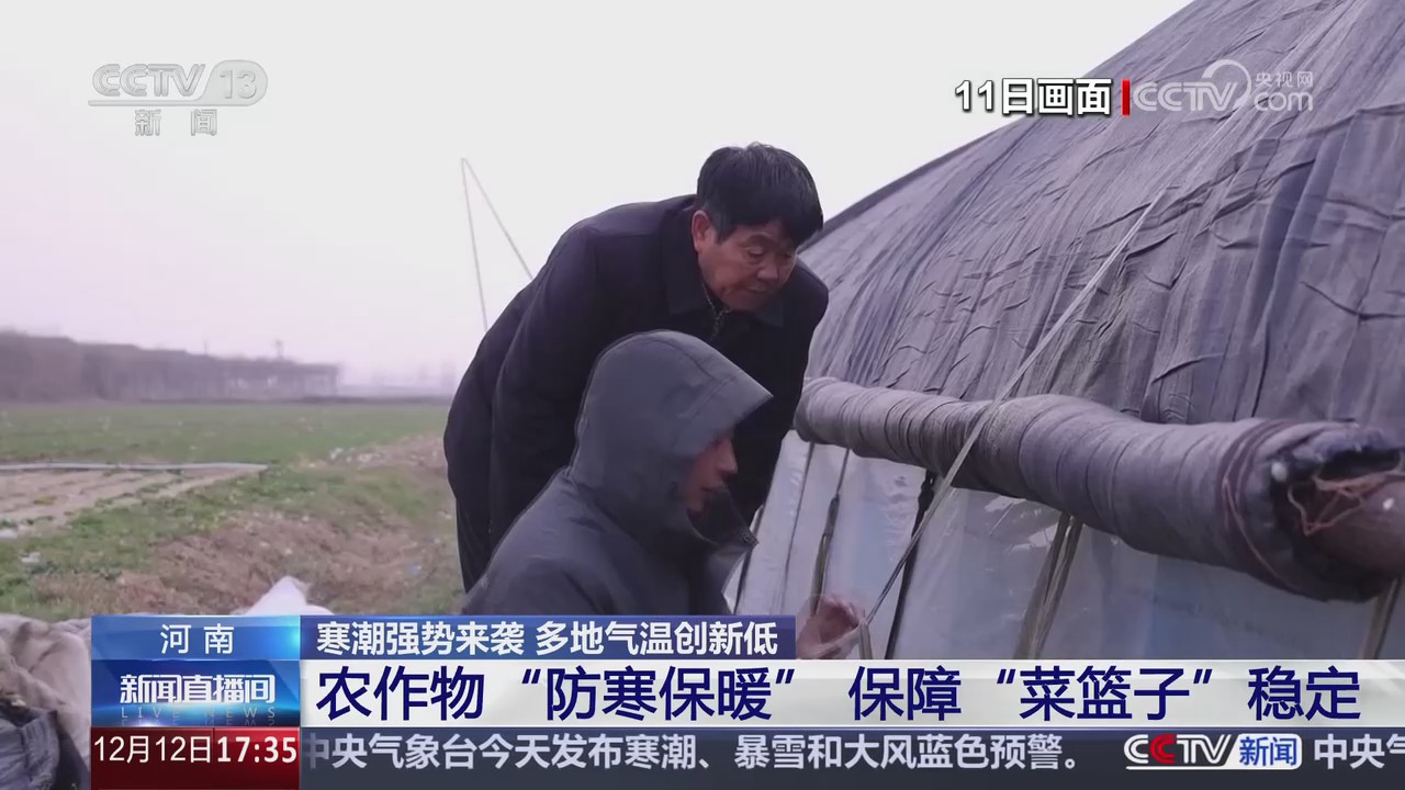 【央視關(guān)注河南】農(nóng)作物“防寒保暖” 保障“菜籃子”穩(wěn)定