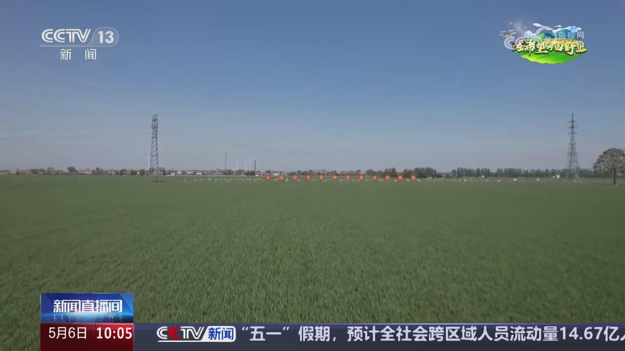 【央視關注河南】小麥進入穩(wěn)產(chǎn)關鍵期 科技助力田管