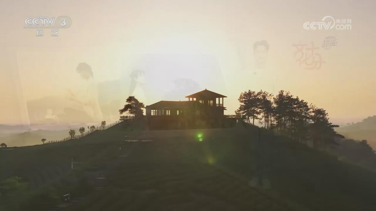 【央視關(guān)注河南信陽(yáng)】非遺三代新茶人：做綠色毛尖茶 帶長(zhǎng)遠(yuǎn)富民路
