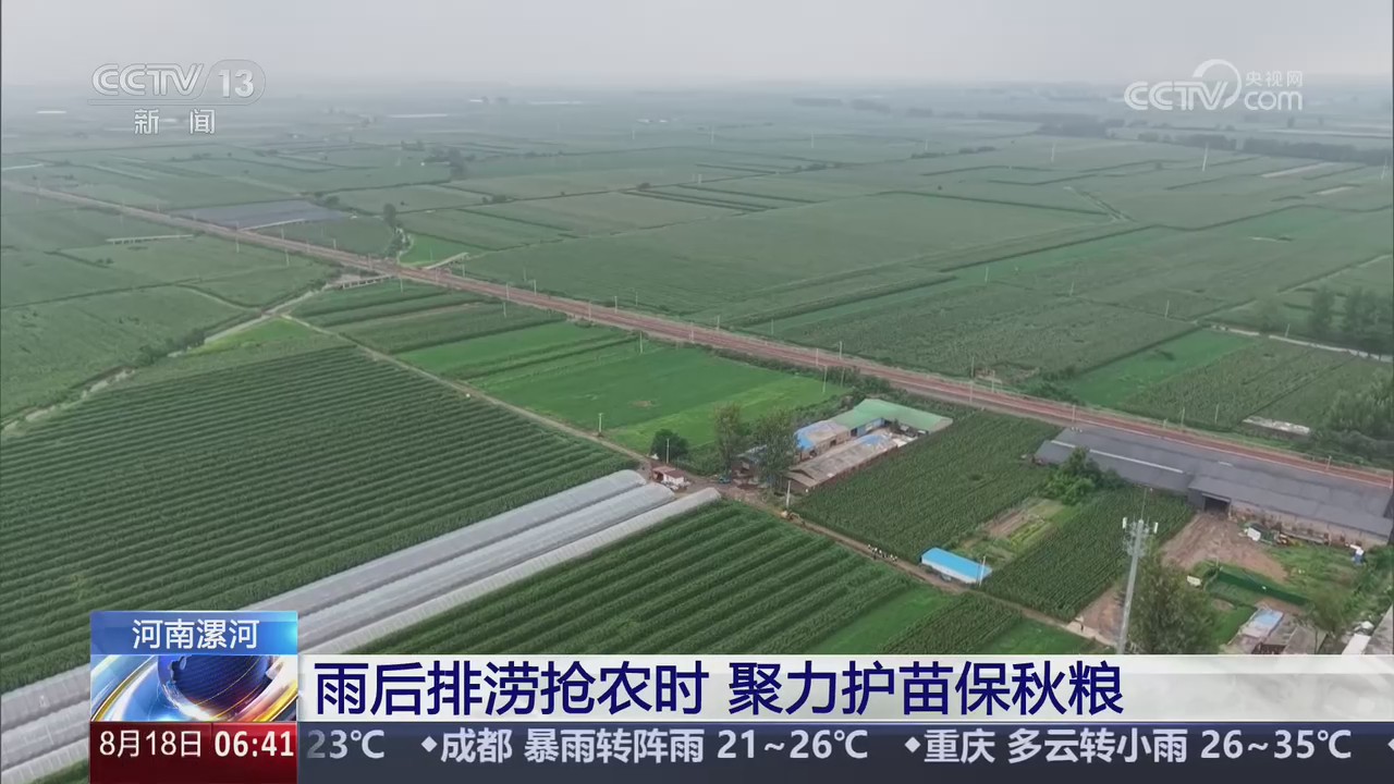 【央视关注河南漯河】雨后排涝抢农时 聚力护苗保秋粮
