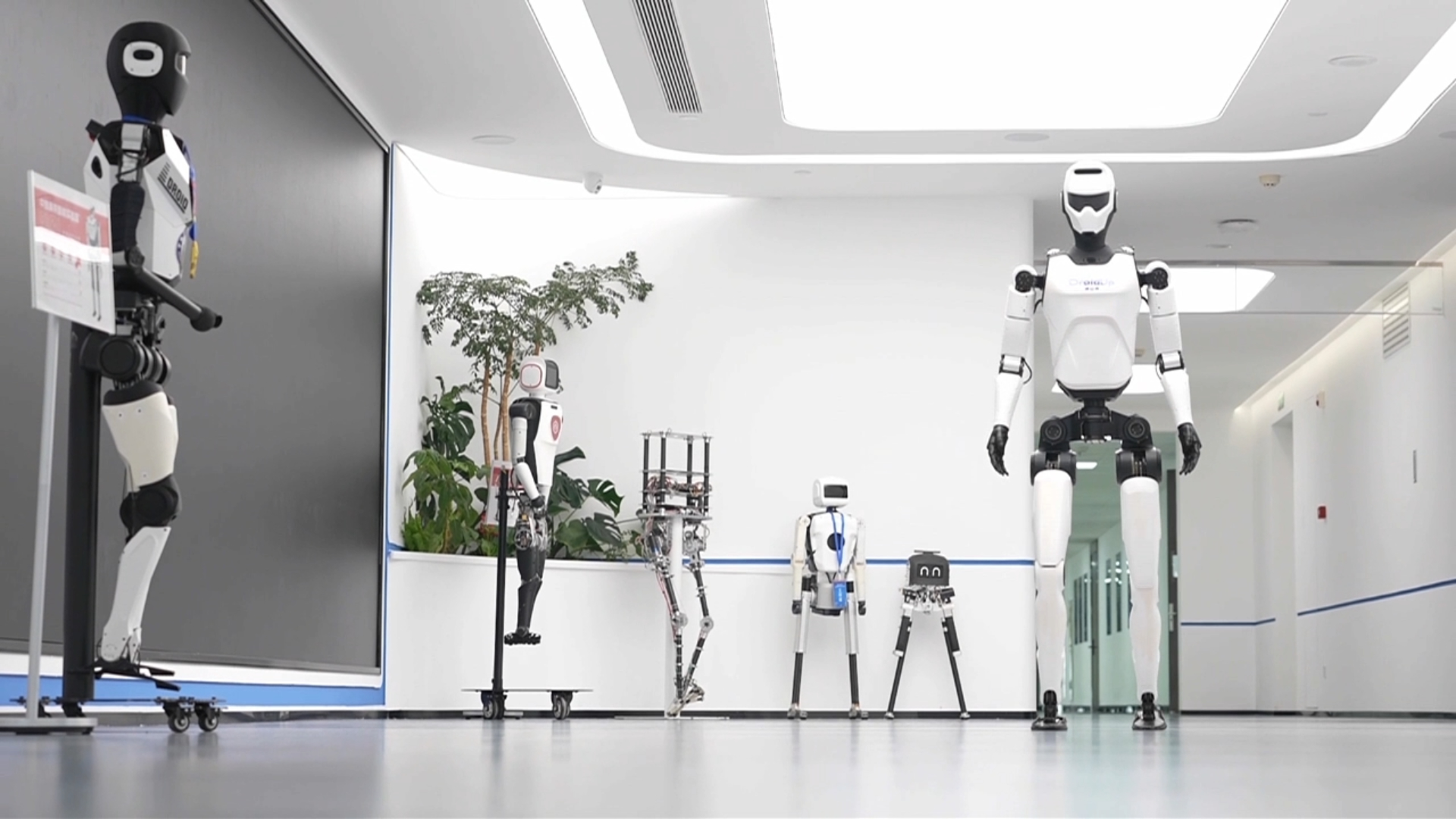 数智 buff 叠满！河南具身智能开卷！