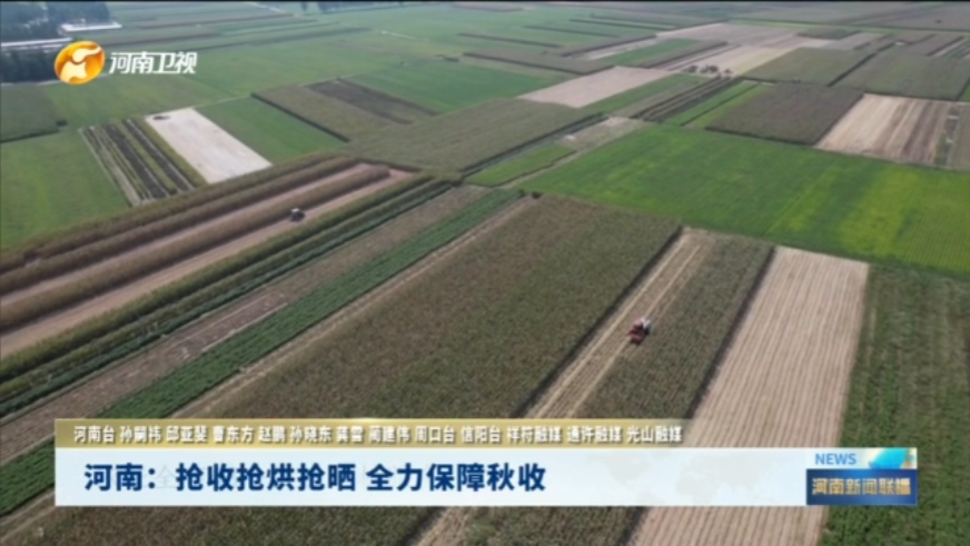 河南：抢收抢烘抢晒 全力保障秋收