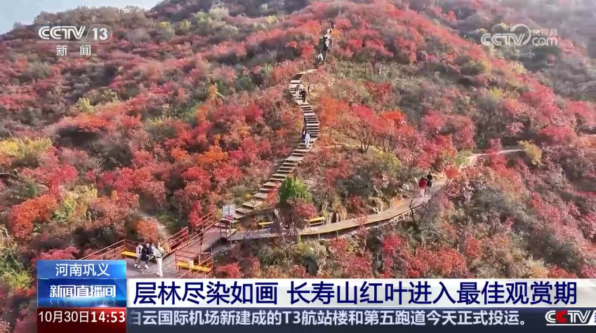 央媒看河南 | 關(guān)注河南秋糧搶收搶種 觀賞紅葉等內(nèi)容