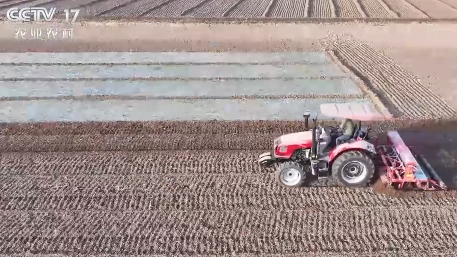 央媒看河南|关注河南特色种植助增收等内容