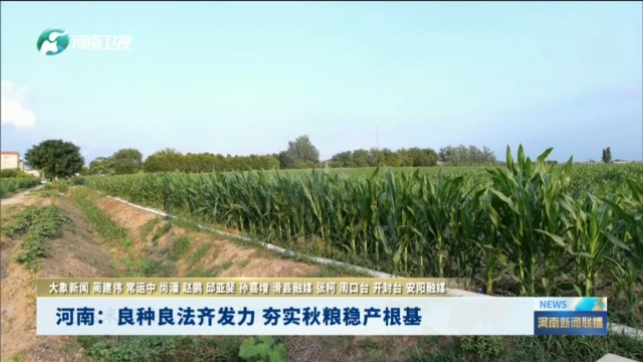 河南：良种良法齐发力 夯实秋粮稳产根基