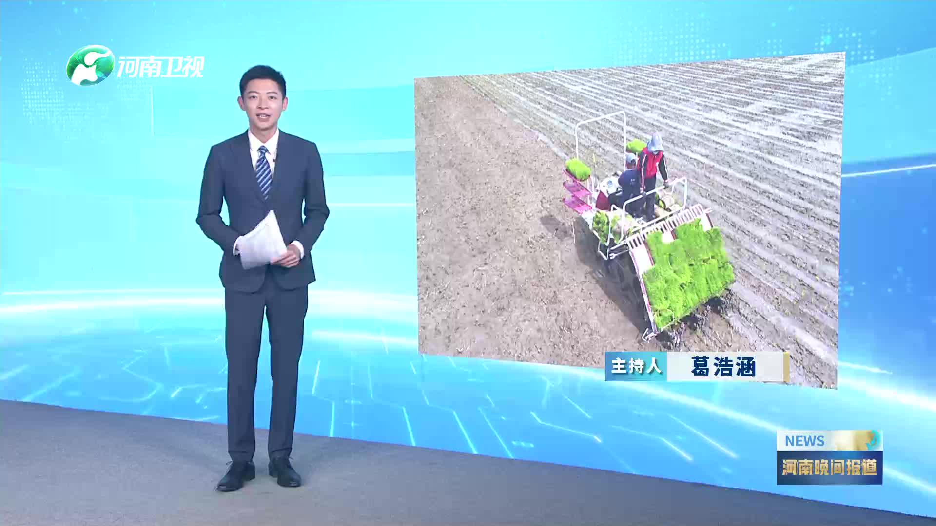 濮阳范县：机械插秧效率高 有机种植品质优