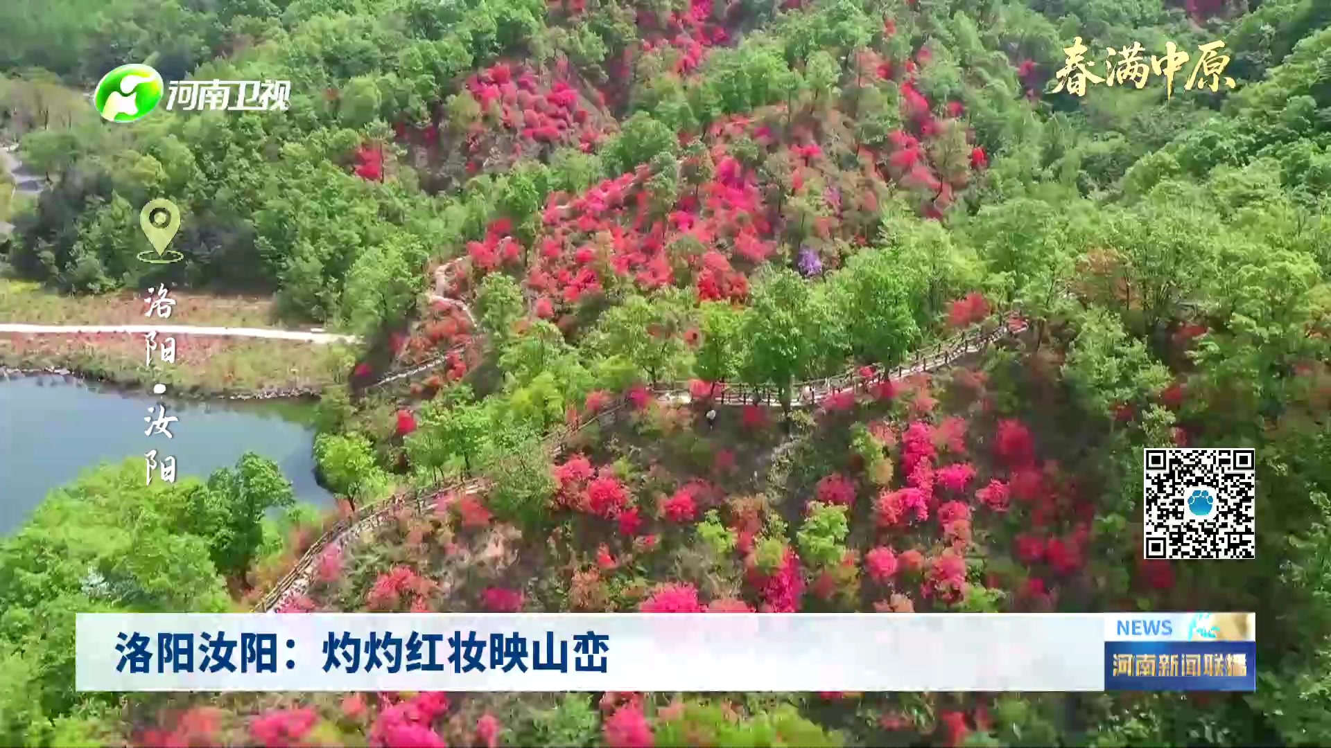洛阳汝阳：灼灼红妆映山峦丨春满中原