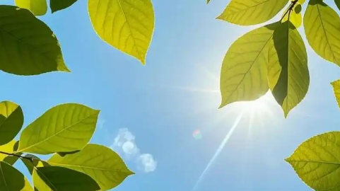暑熱感十足！河南多地最高溫度超過35℃！