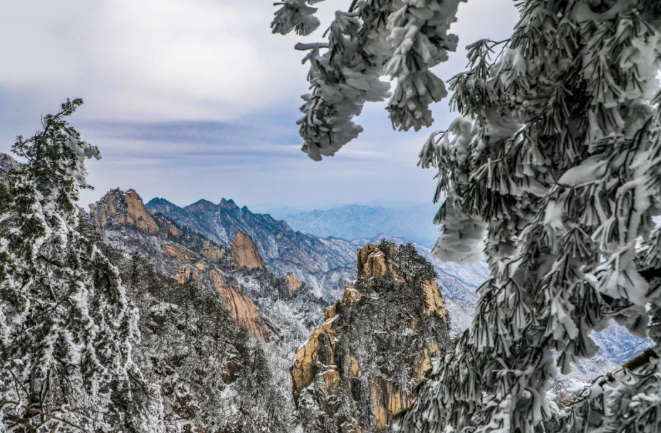 跨年、元旦去哪儿玩？河南这些景区免票/半价！