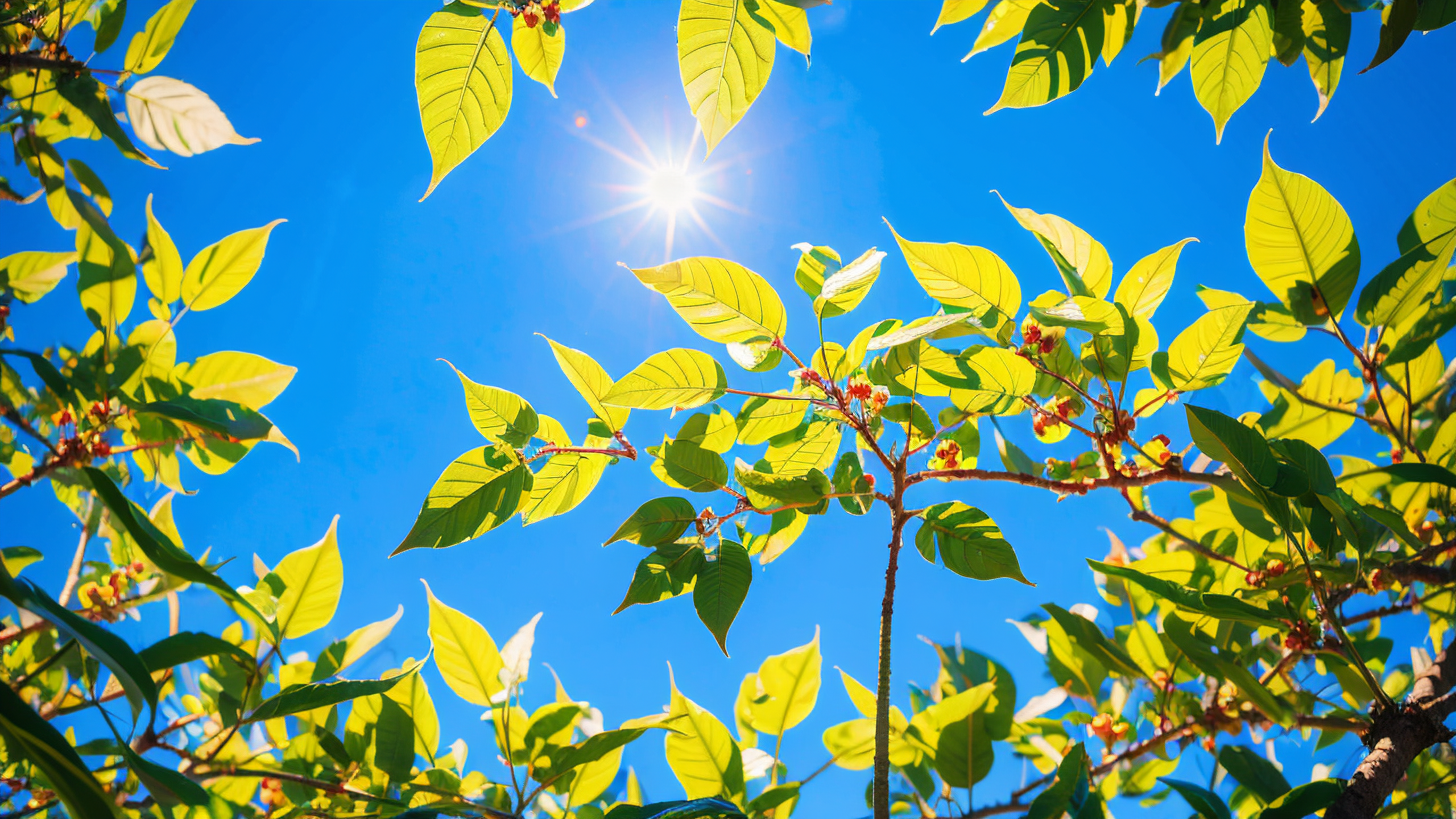 陣風(fēng)7級(jí)！37℃！接下來(lái)河南強(qiáng)對(duì)流+高溫“控場(chǎng)”！