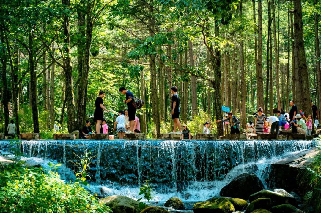 景区免门票！博物馆延时、无休开放！河南人的福利来了→