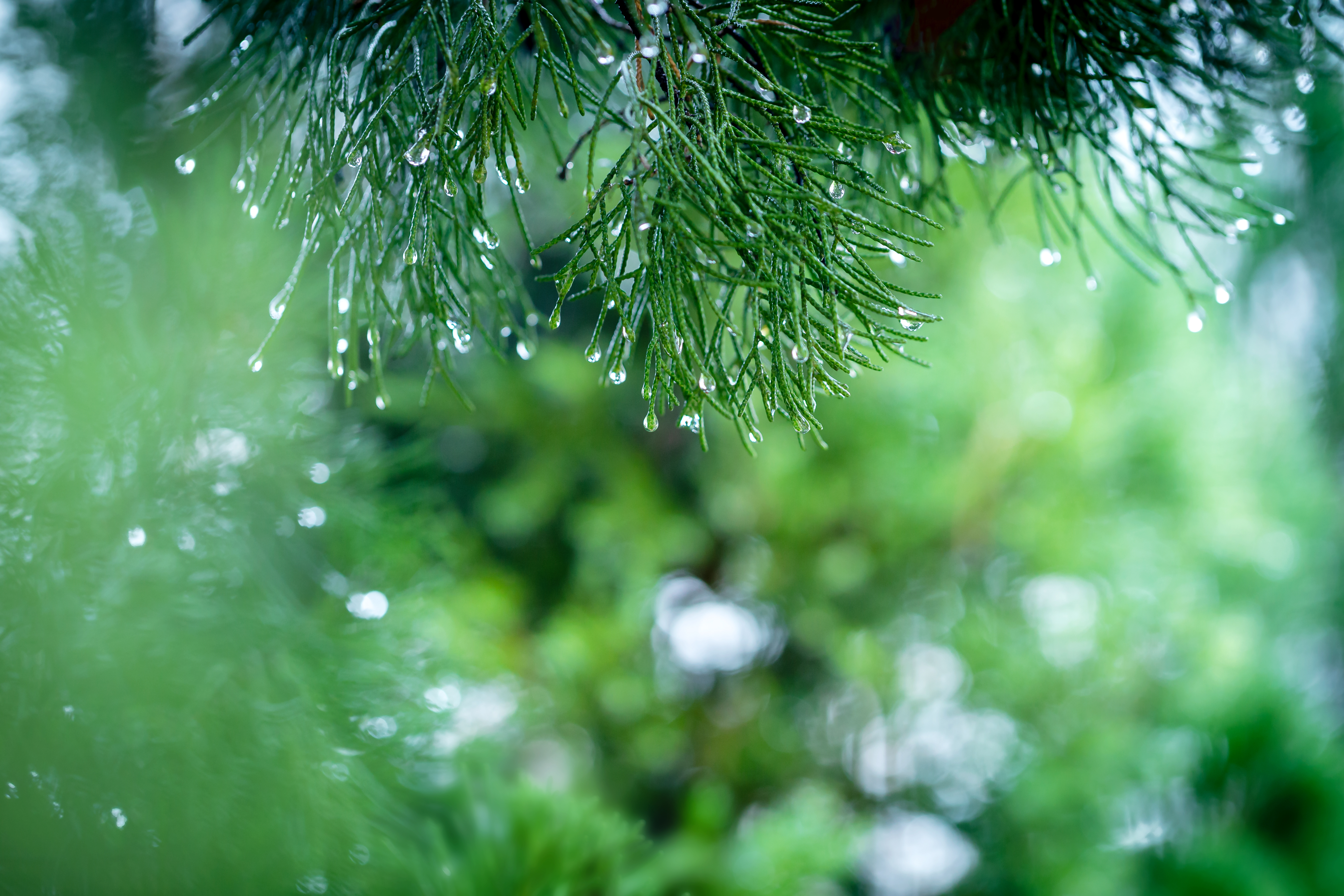阵雨、大雨、强对流！未来三天，河南北中部、西部多降水