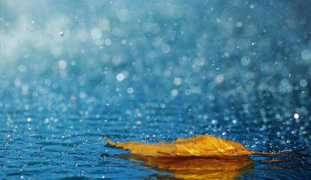阵雨！中到大雨！强对流！河南又一轮降水“光顾”