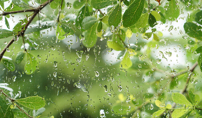未来三天，河南多分散性阵雨、雷阵雨！局部有大雨