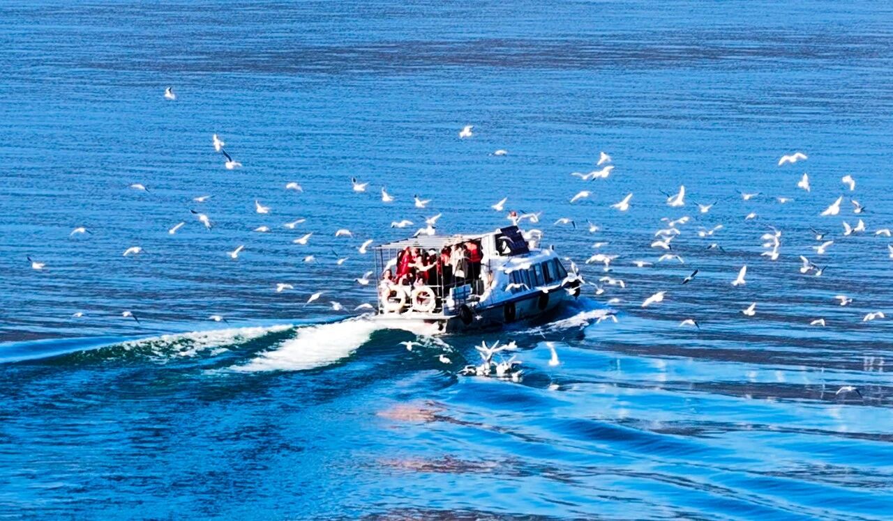 3月18日免门票！丹江大观苑发布公告