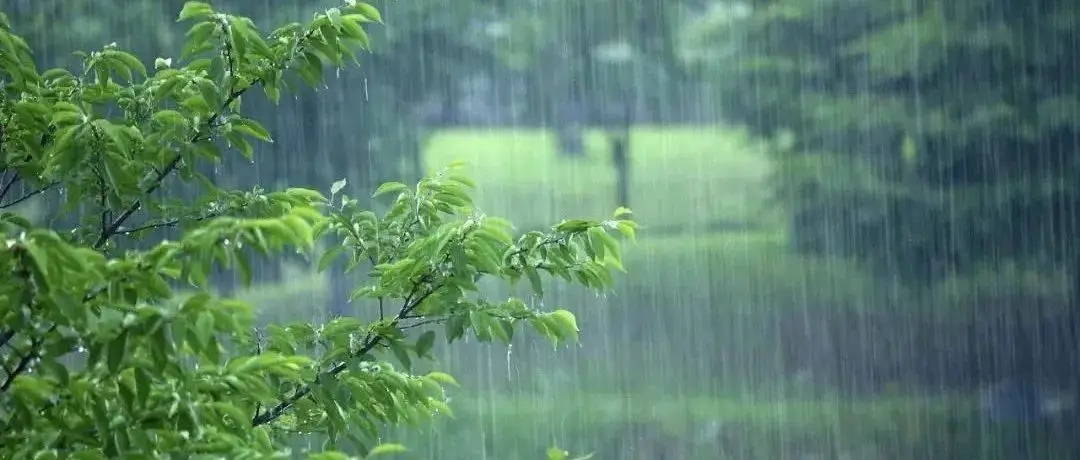 大风+雨水+降温！今日河南最低气温仅3℃左右