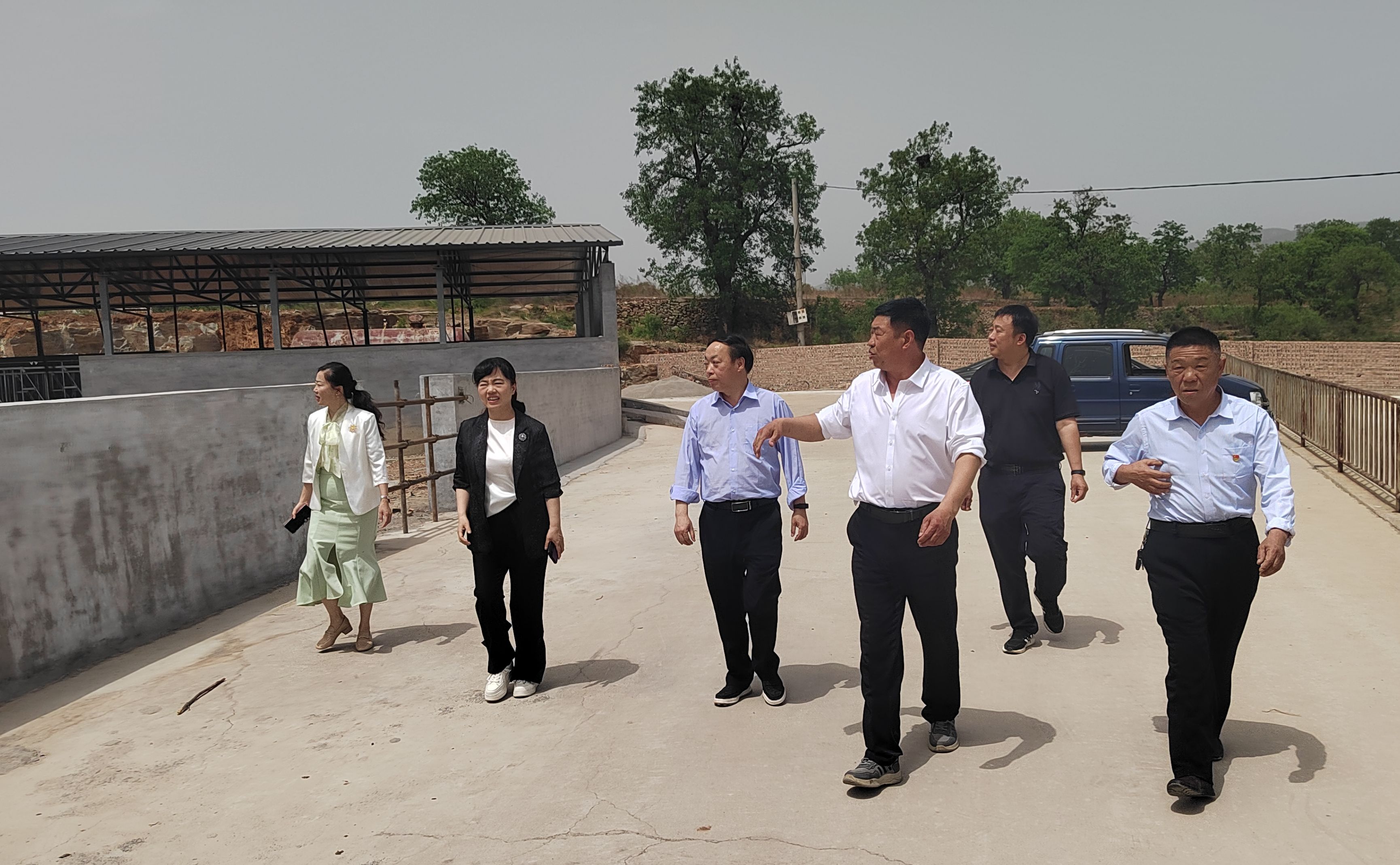 安阳市税务局四任驻村书记接续奋斗 共圆乡村振兴“养牛梦”