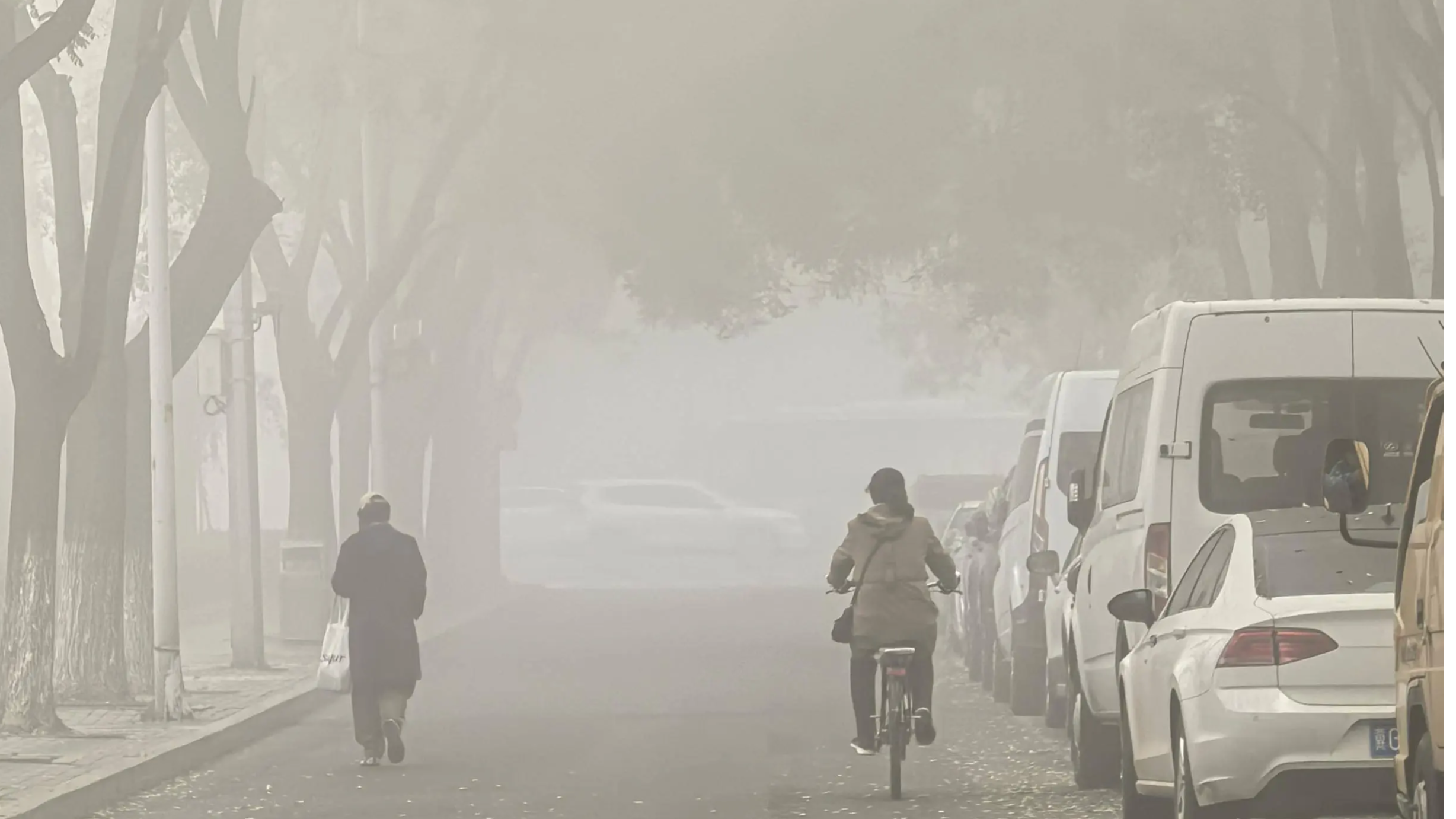 多地有浓雾、强浓雾！河南发布大雾天气安全提示