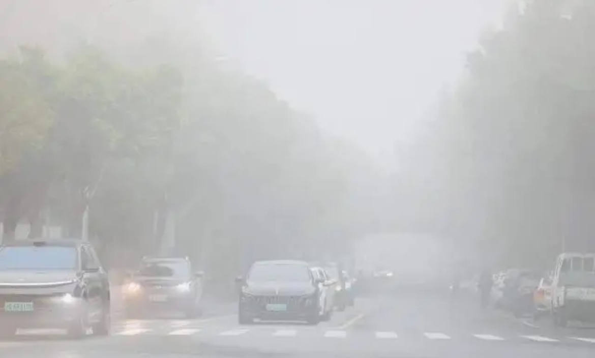 能见度最低只有10米！昨夜今晨河南大部出现大雾天气