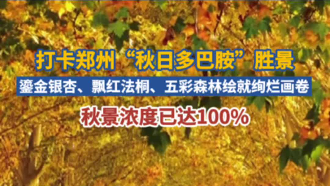 郑州秋日限定，打卡十大“多巴胺”胜景