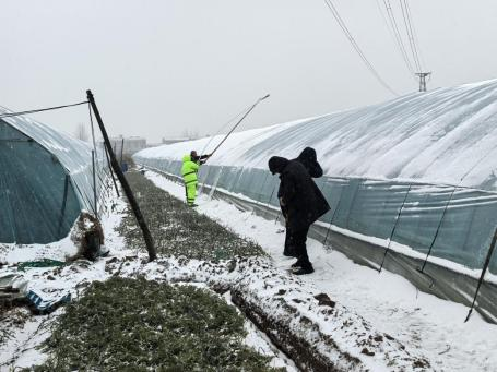 仍有积雪，低于0℃ 河南继续发布道路结冰黄色预警