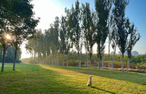 大部分免费 郑州9个体育公园推荐来啦