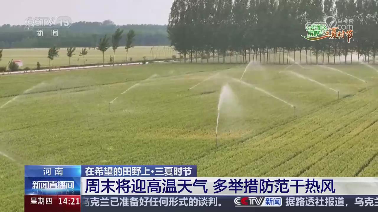 【央視關(guān)注河南】周末將迎高溫天氣 多舉措防范干熱風(fēng)