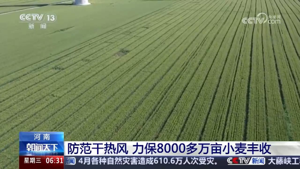 央媒看河南 | 關(guān)注河南商丘、滑縣等地多舉措應(yīng)對干熱風(fēng)