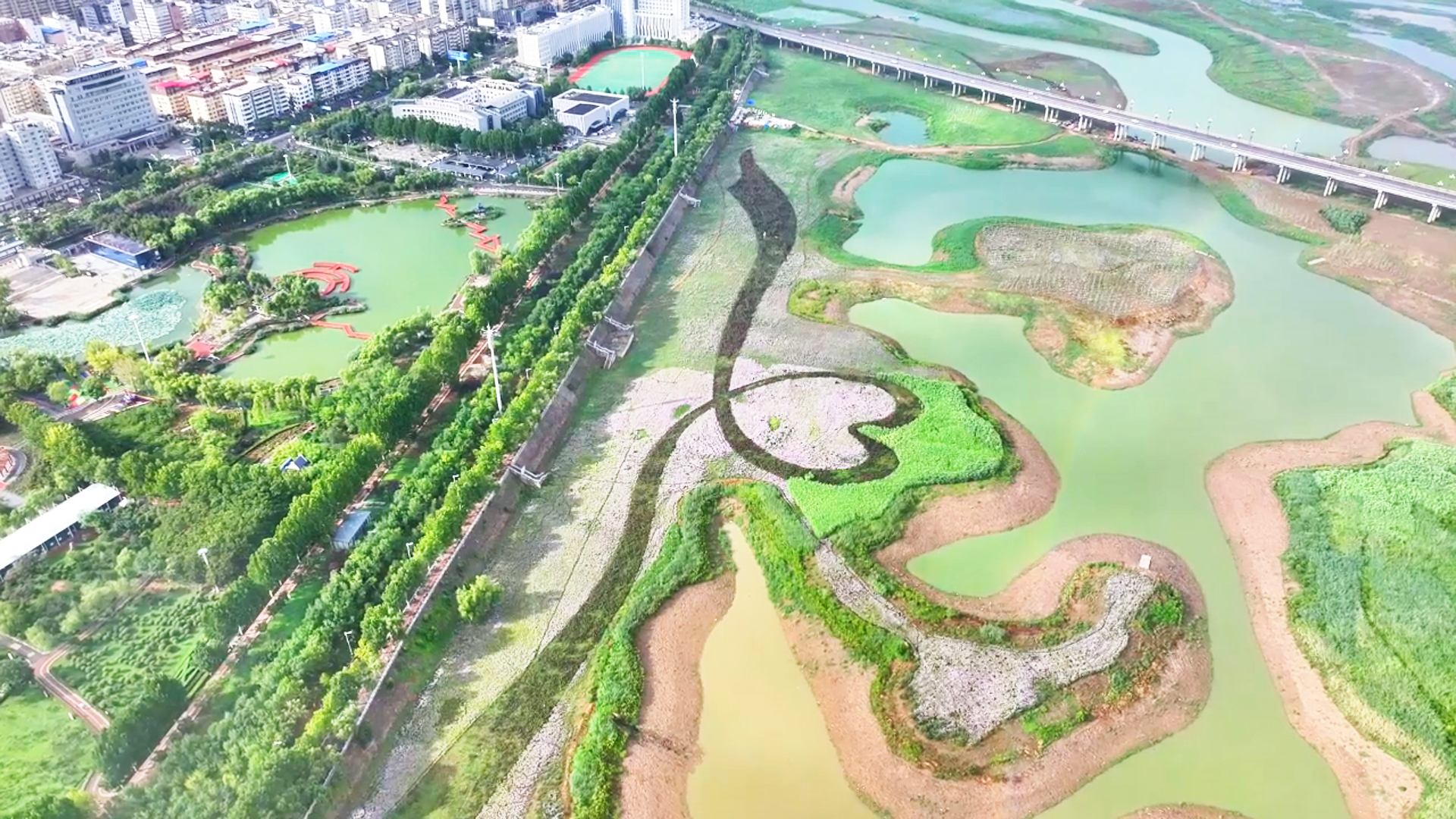追青逐绿河南答卷 ③【我家有湿地】