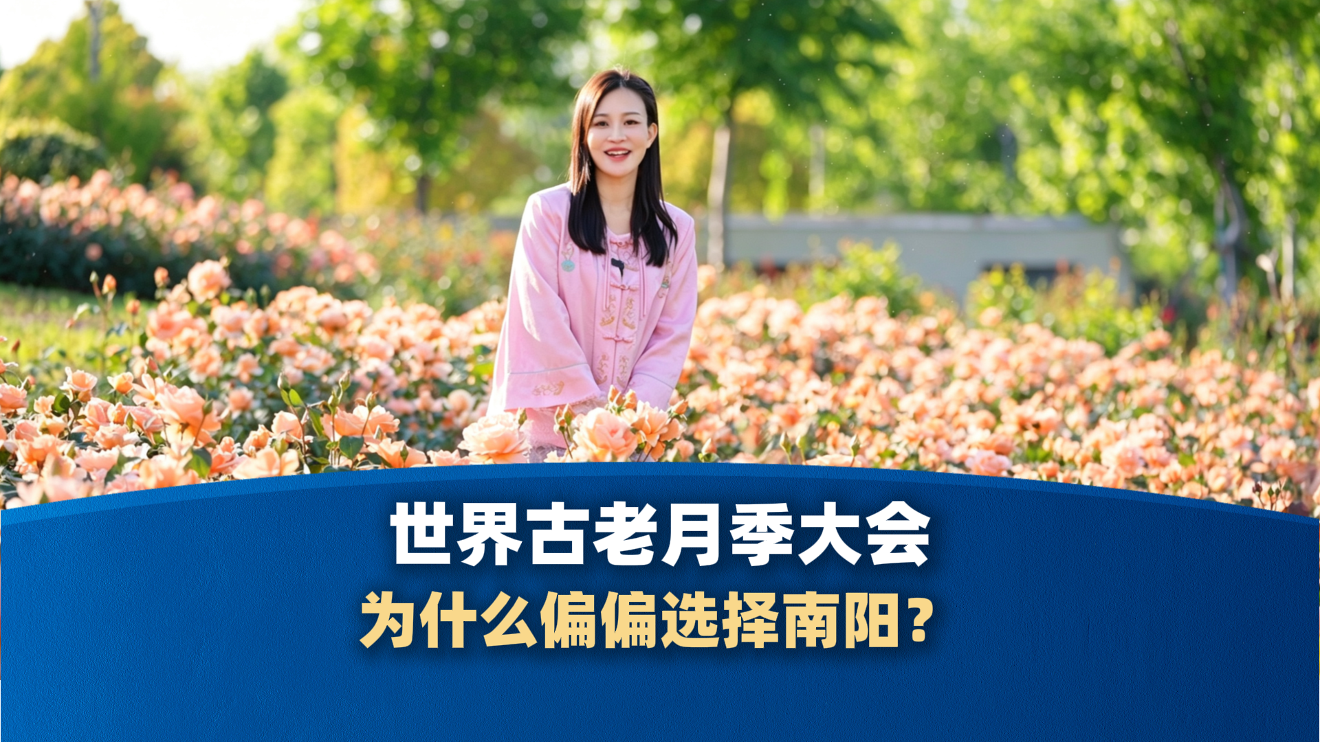世界古老月季大会，为什么偏偏选择南阳？｜一朵花读懂一座城
