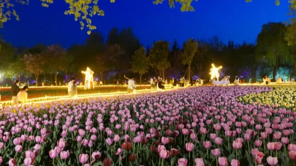 【在央广听河南】郑州绿博园“夜赏花”出圈 点亮城市夜经济